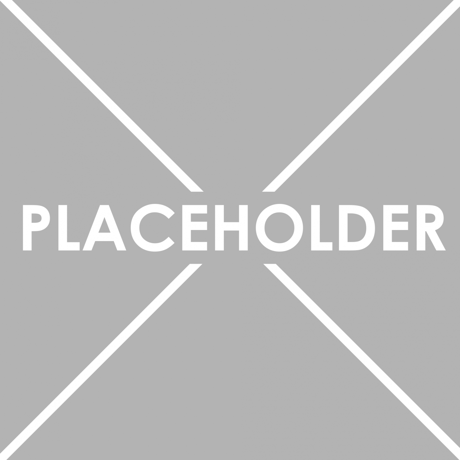 PlaceHolder